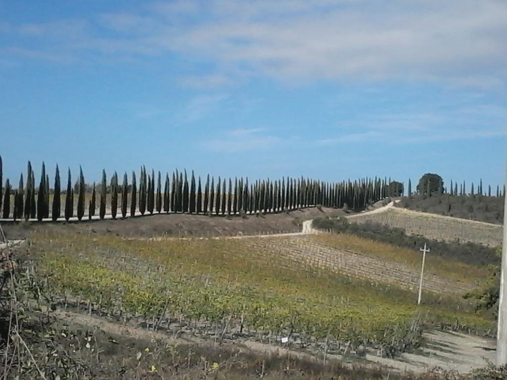 Cisterna Nel Borgo Castiglione dʼOrcia Exterior foto